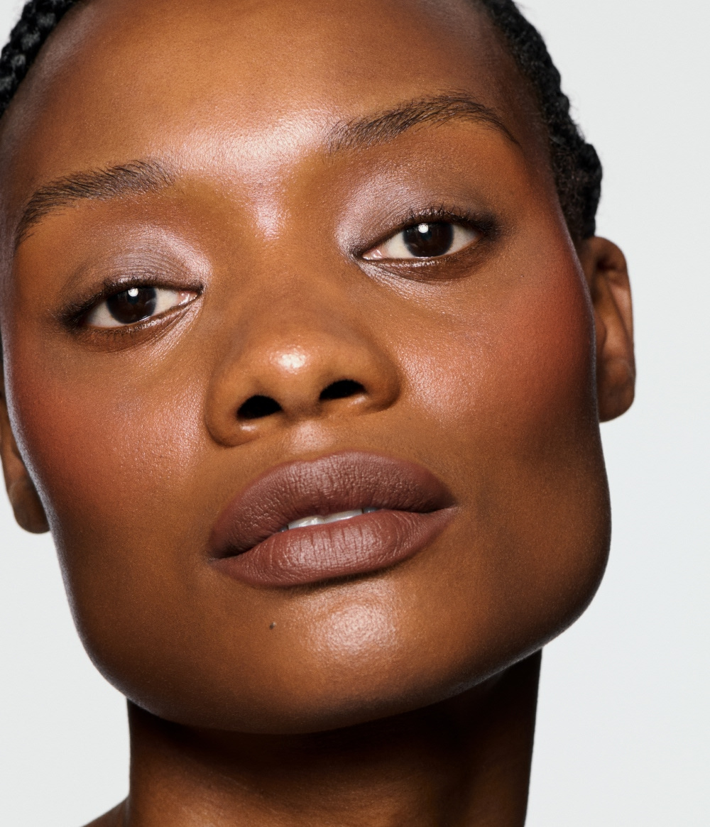 THE BROWN LIP PENCIL