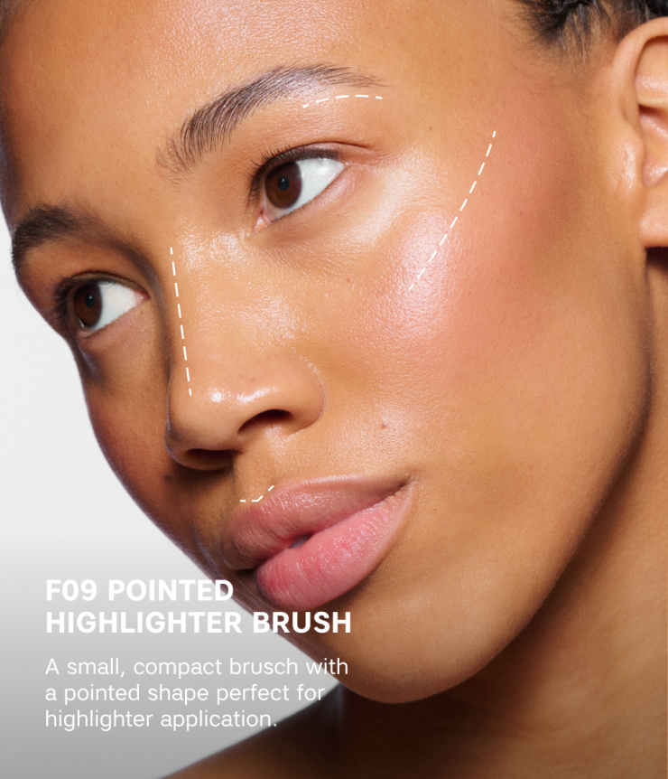 POINTED HIGHLIGHTER BRUSH 09