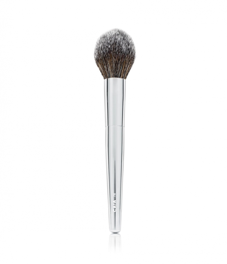 POINTED POWDER BRUSH F10