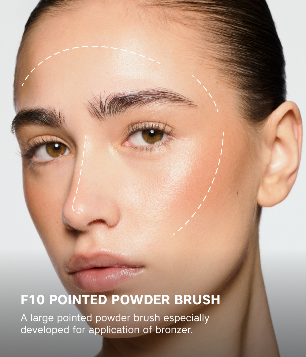 POINTED POWDER BRUSH F10