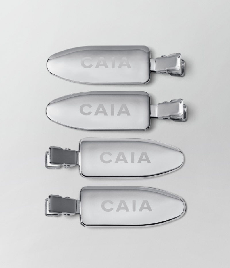 SILVER HAIR CLIPS