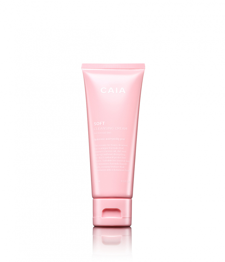 SOFT CLEANSING CREAM in der Gruppe HAUTPFLEGE / NACH PRODUKT EINKAUFEN / Gesichtsreinigung bei CAIA Cosmetics (CAI806)